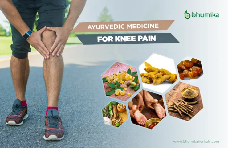 ayurvedic medicine for knee pain