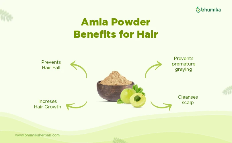 amla powder benefits for hair