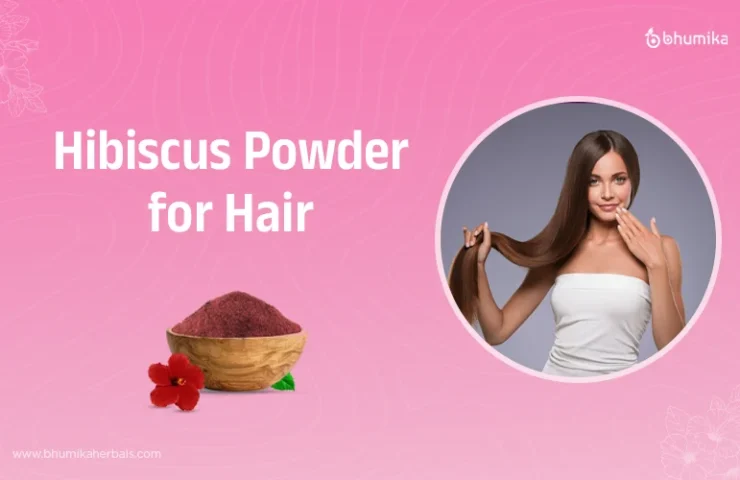 Hibiscus-powder-for-hair