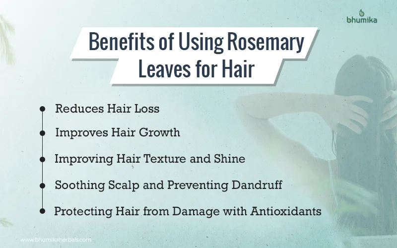 benefits of using rosemary leaves for hair