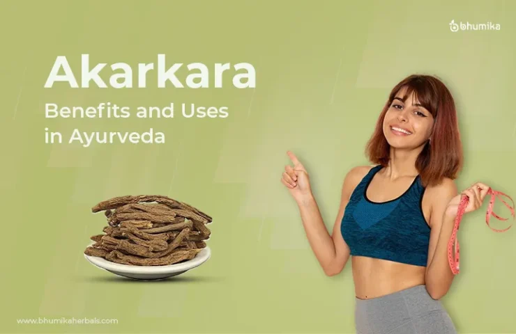 Akarkara-benefits-uses