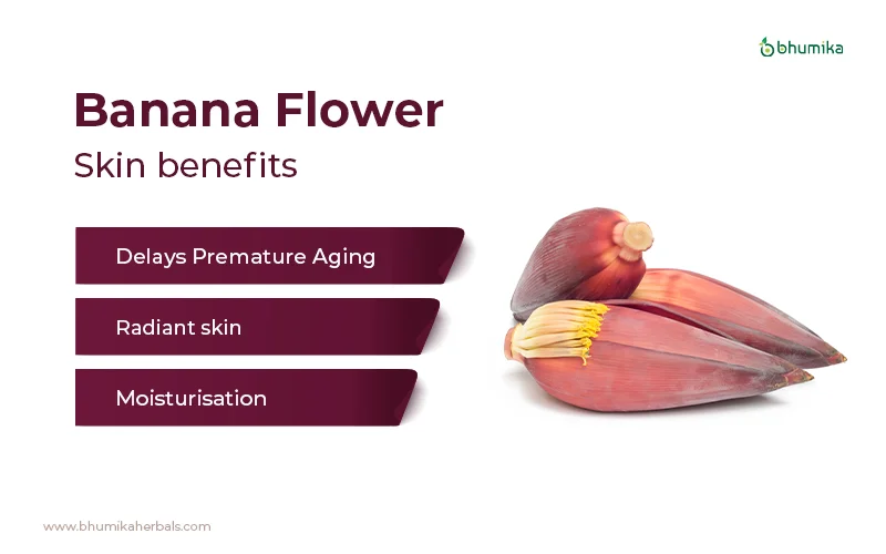 banana flower benefits for skin