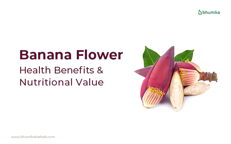 banana flower benefits