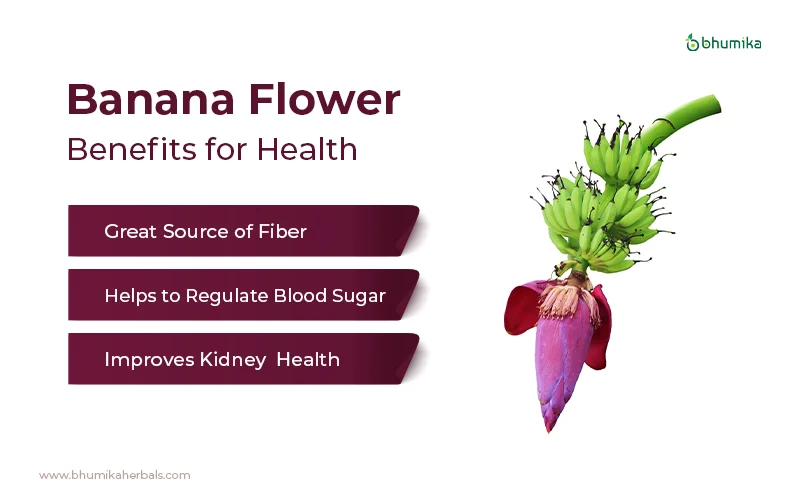 banana flower health benefits