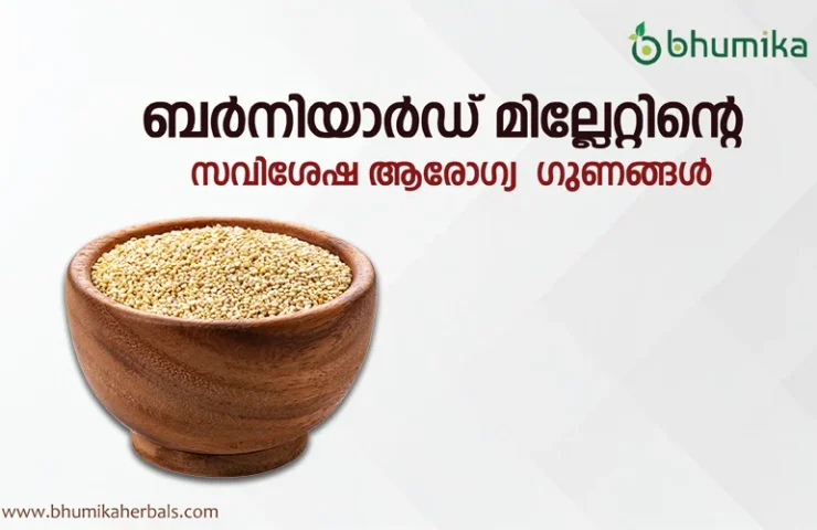 barnyard-millet-in-malayalam