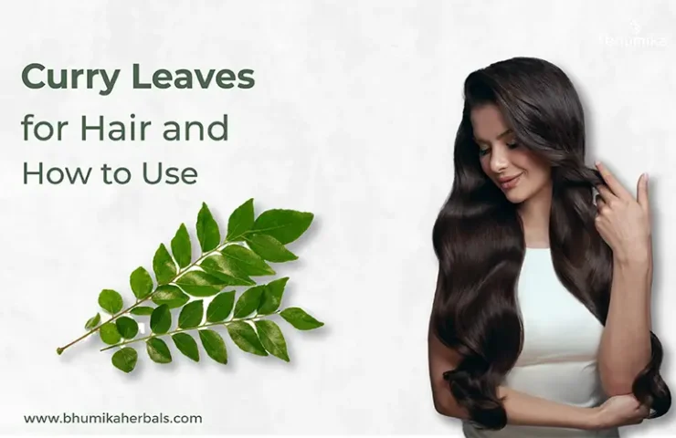 curry-leaves-for-hair