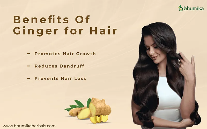 ginger benefits for hair