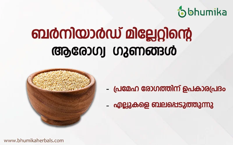 benefits of barnyard millet in malayalam