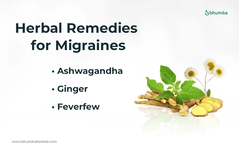 herbal remedies for migraine