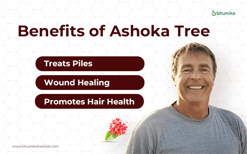 ashoka tree benefits