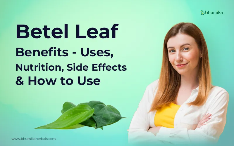 betel leaf benefits