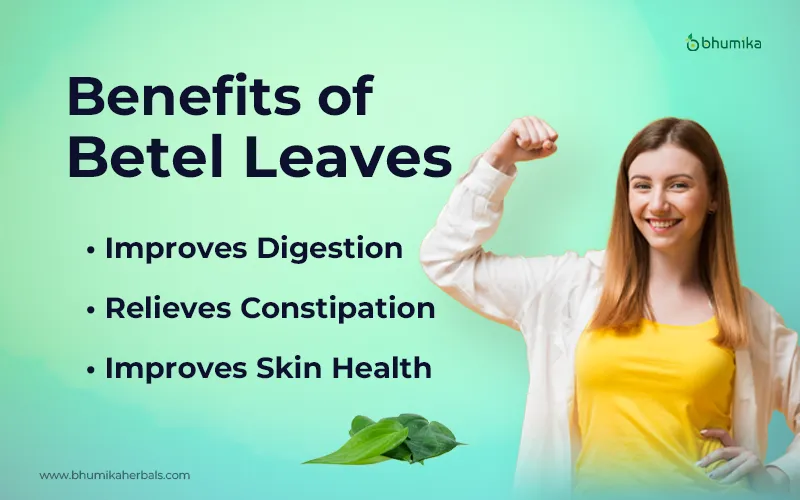 benefits of betal leafs