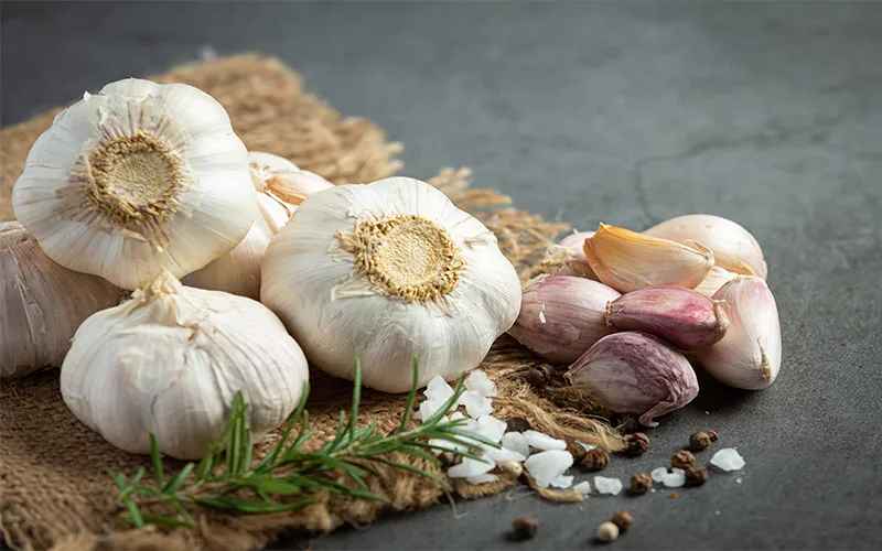 garlic