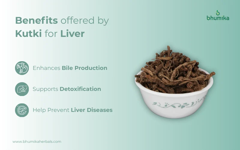 kutki benefits for liver