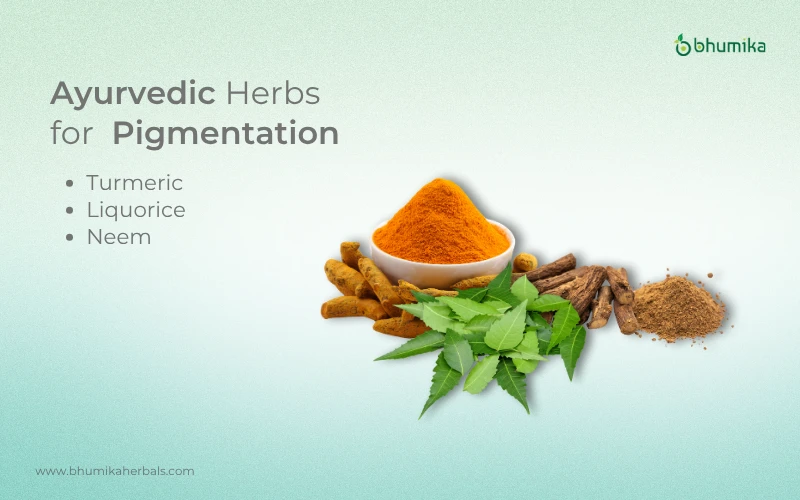 ayurvedic herbs for pigmentation