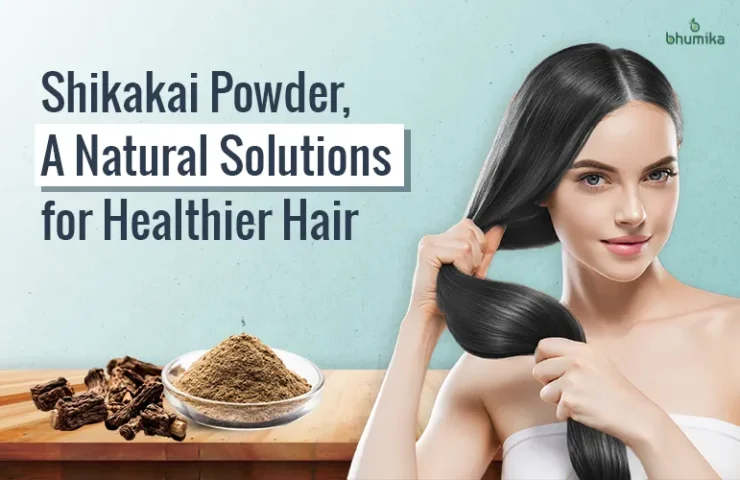 shikakai-powder-benefits
