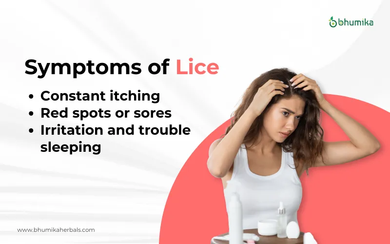 symptoms of hair lice