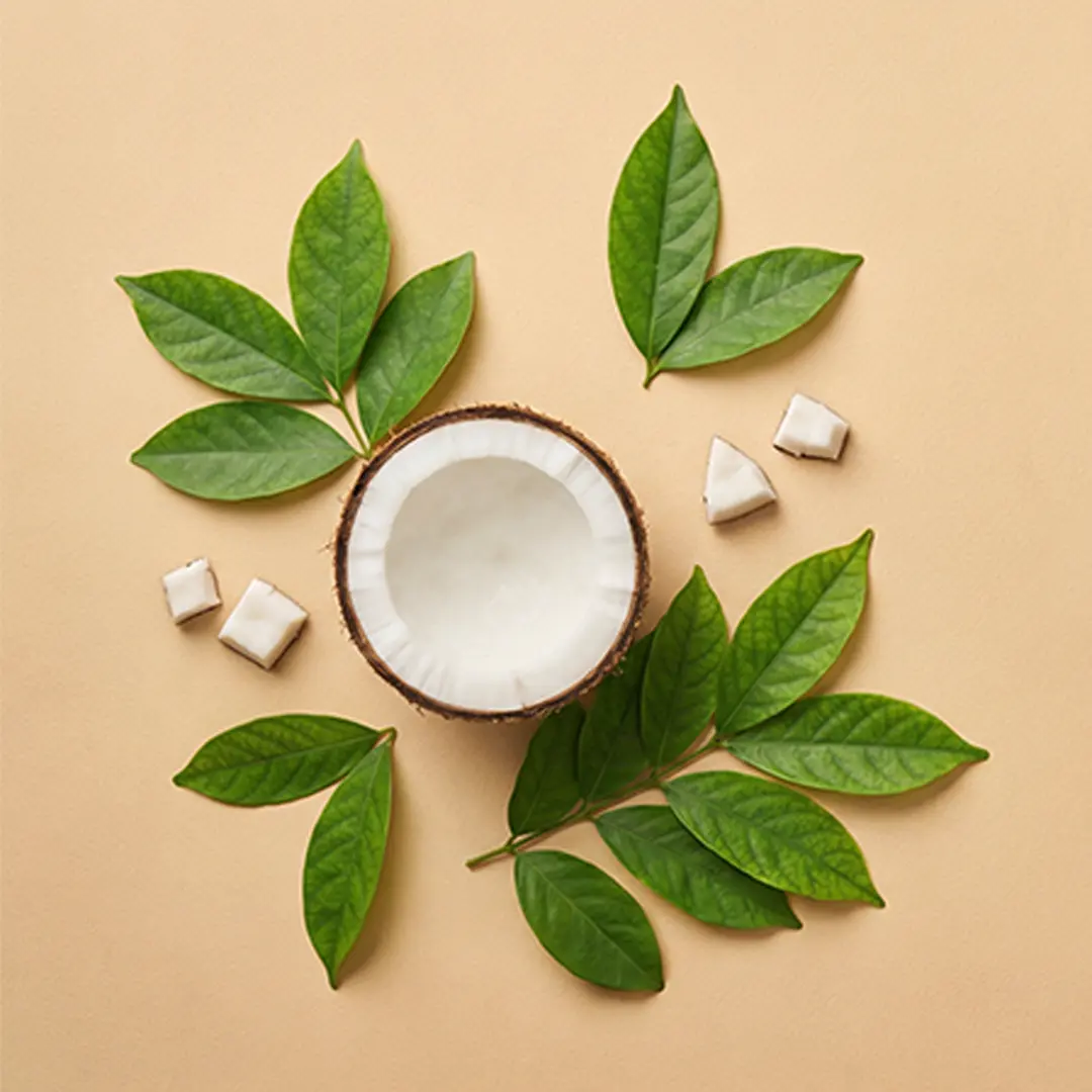 dandruff-oil-ingredients