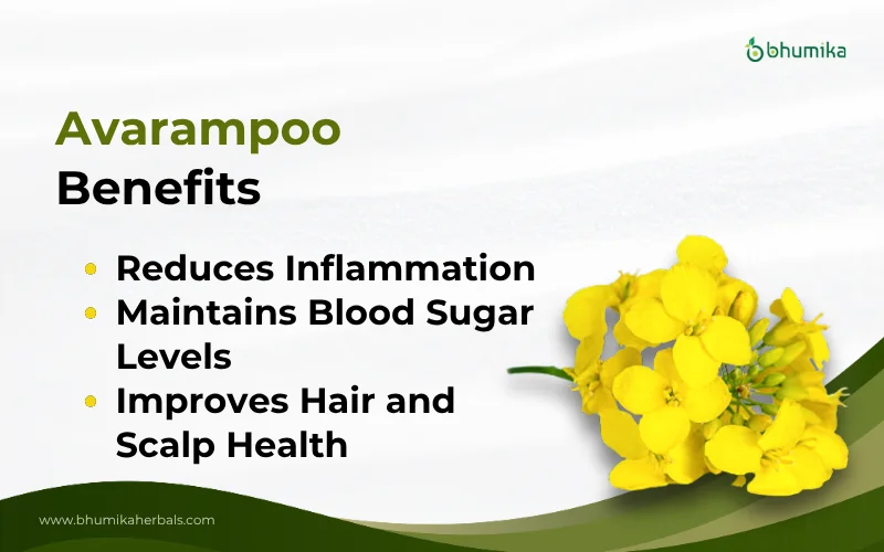 benefits of avarampoo